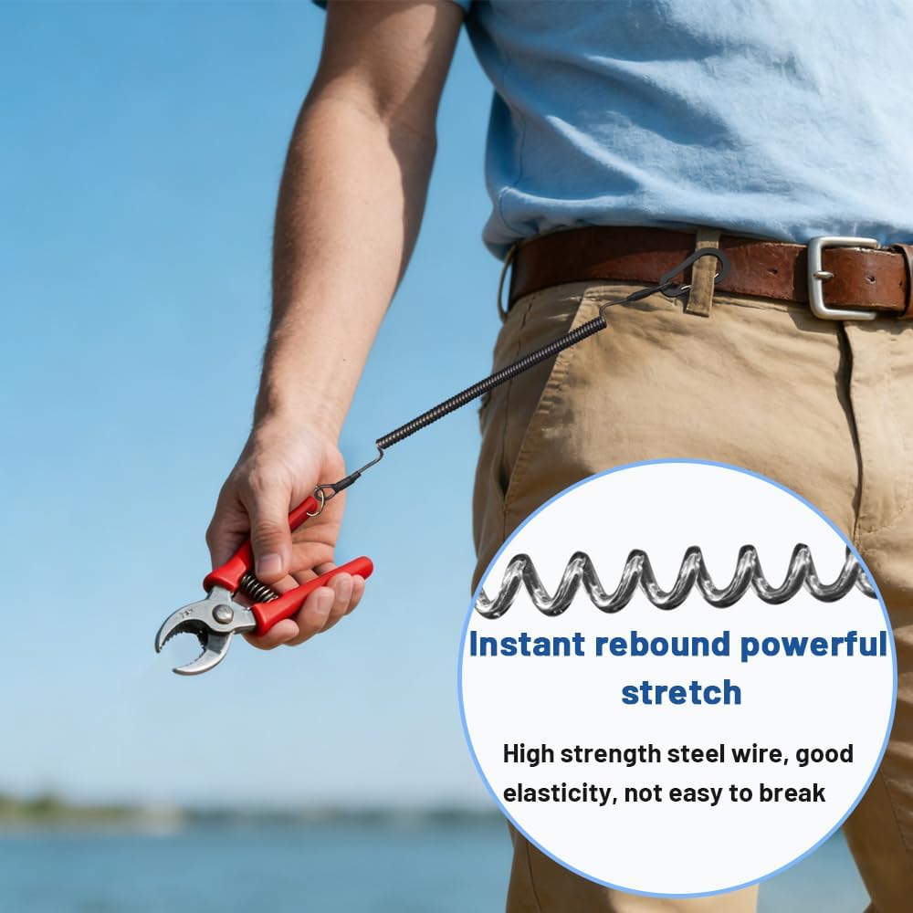 Anti Lost Flexible Phone Ropes - Carabiner Keychain 评论和价格